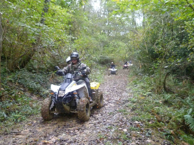  Quad im Bergwald 